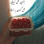 دانلود آهنگ به صلیب صدا مصلوبم ای دوست “دهه شصتی غمگین” از داریوش
